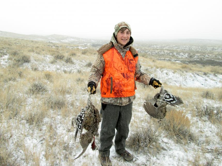 Sage grouse