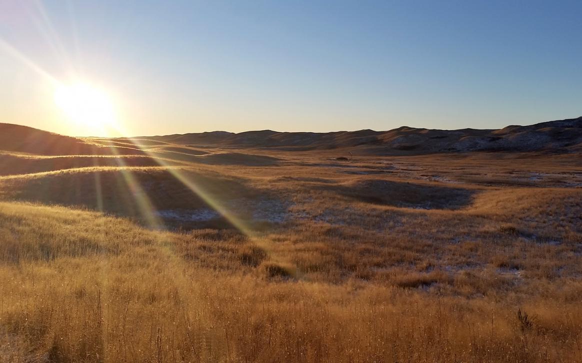 Sandhills