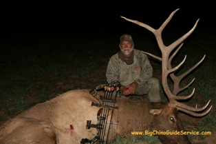 Sean Lawlor's 2010 Bull