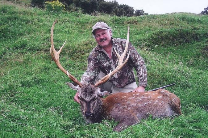 Sika Stag, a beautiful animal that is like a Whitetail to hunt.