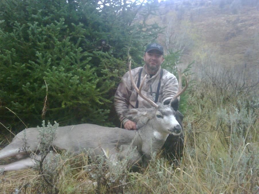 Small Idaho buck