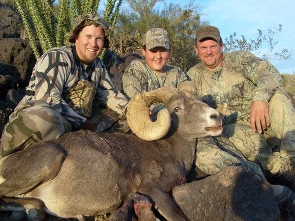 Son's Desert Bighorn (Arizona 2008)