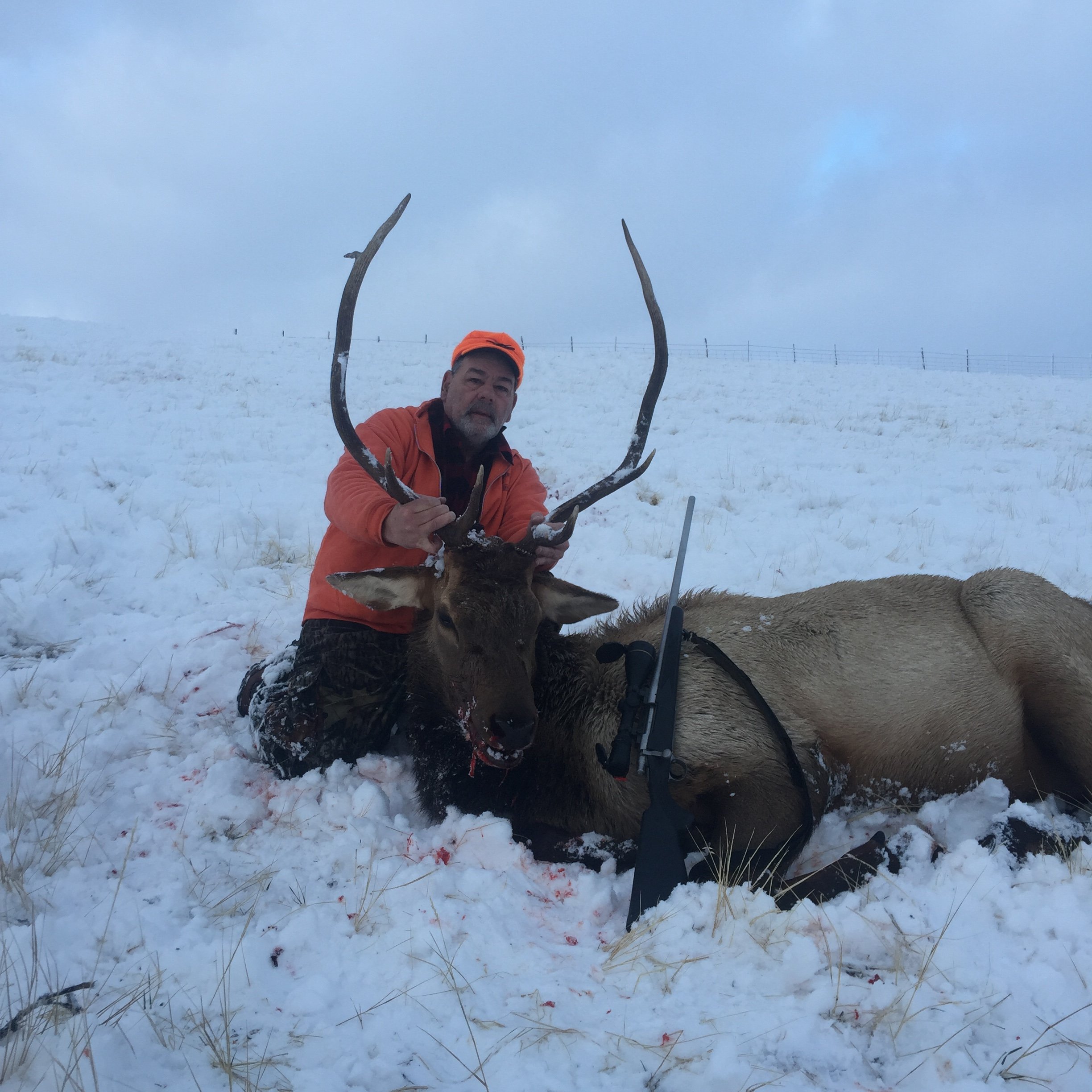 Step dads 2018 elk Colorado
