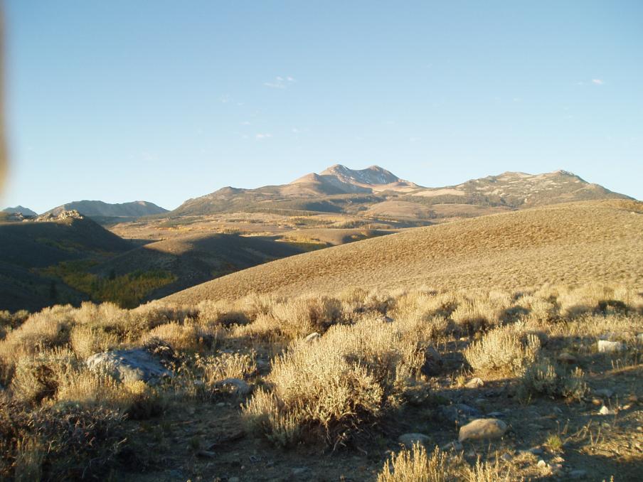 Summers Ridge Mono County