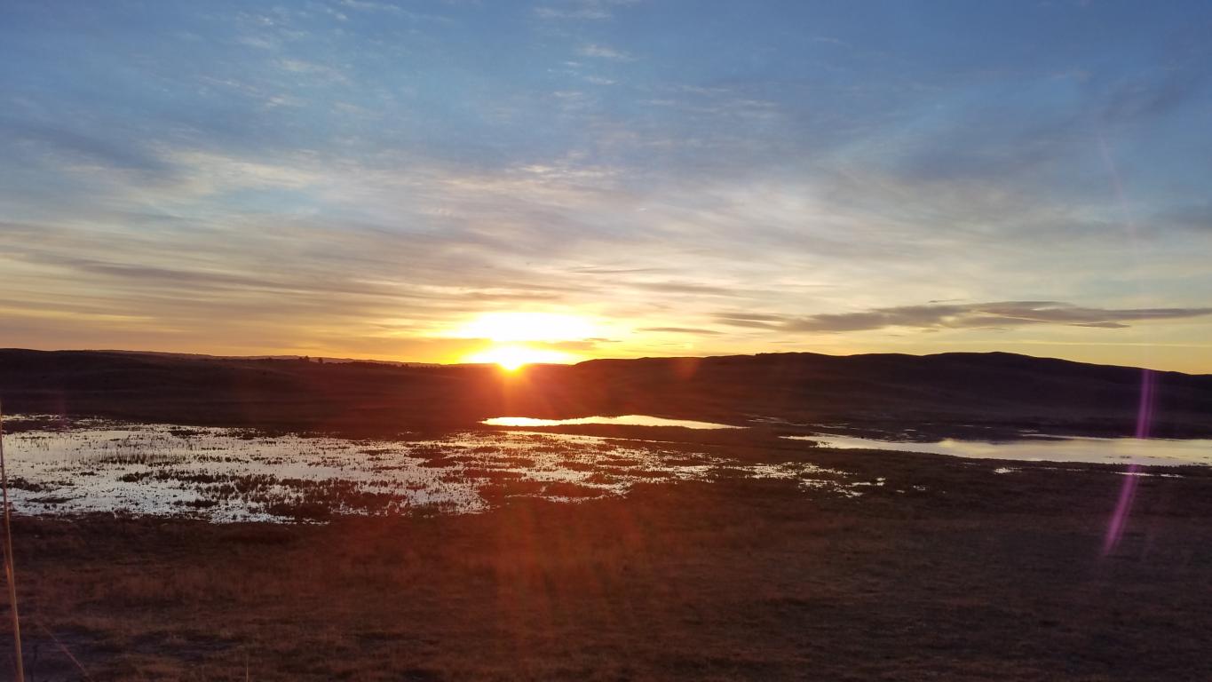 Sunrise