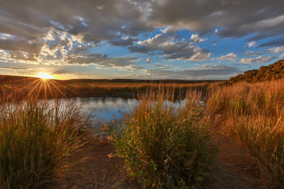 Sunset at the water hole.