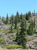 th P1060638