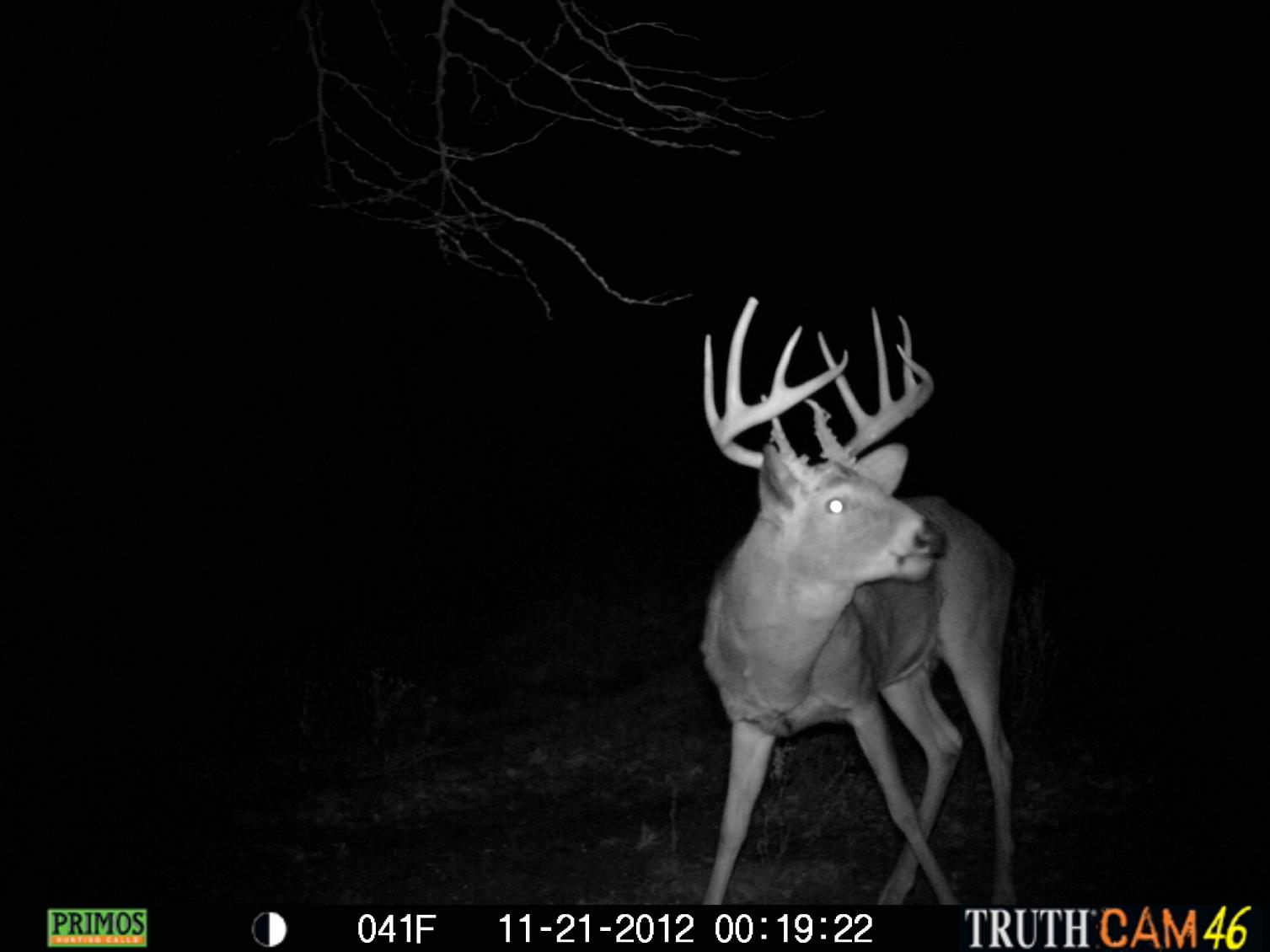 the big 10