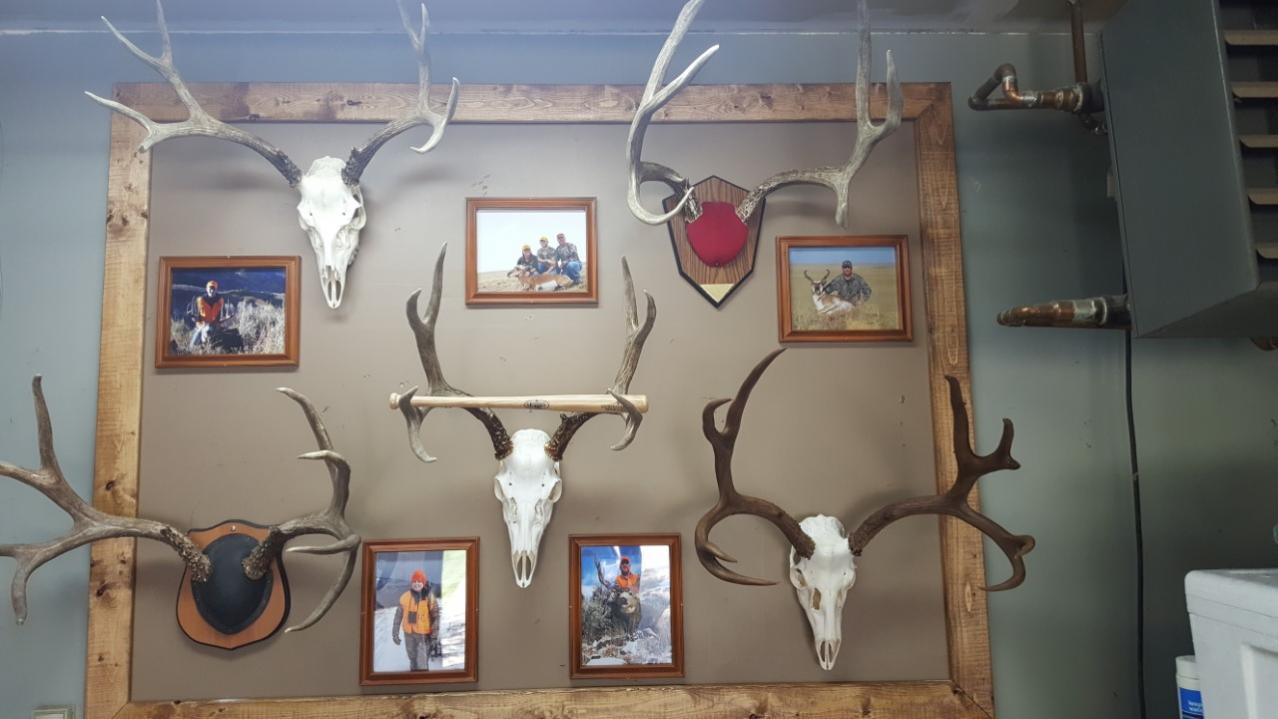 thumbnail 20160904 170438