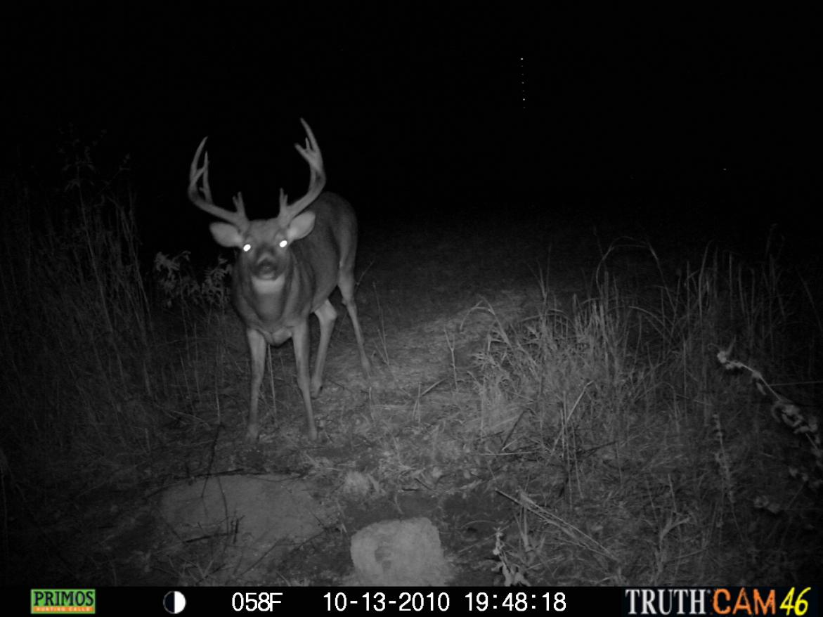 Trail cam pic of a buck I was hunting a neighbor got, 185&quot; buck.  The kid was real excited and will be a hunter for life