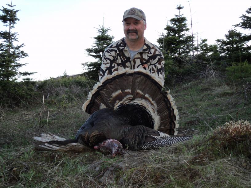 Turkey #1 2016