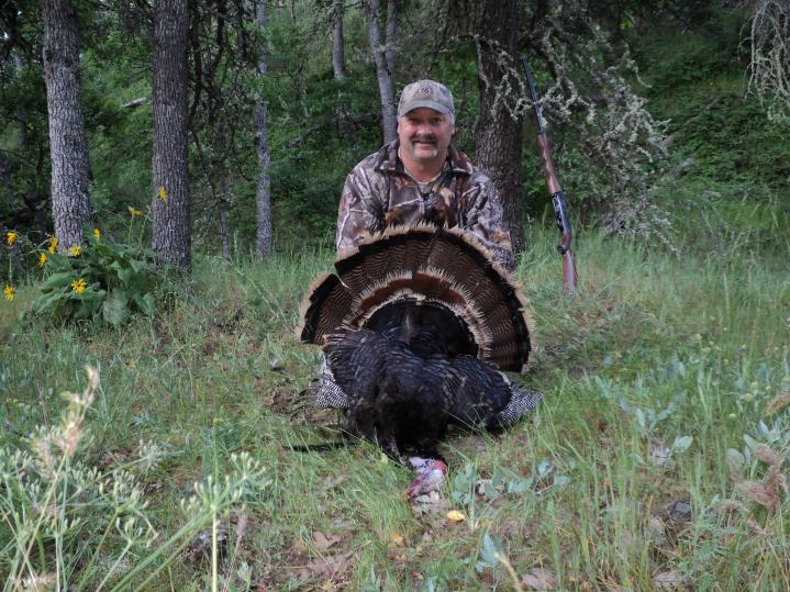 Turkey #2 2016