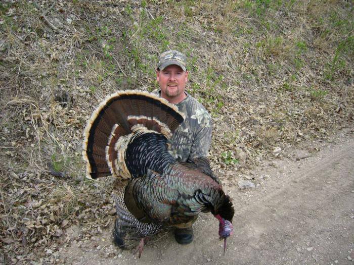 turkey