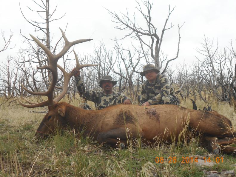 UT bull 09 28 14 002