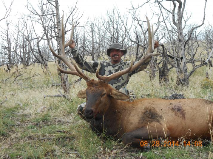 UT bull 09 28 14 012