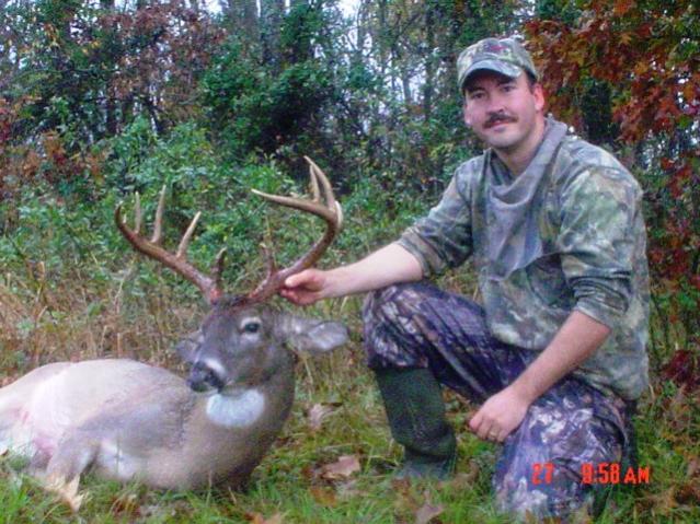 Vernons Deer 007