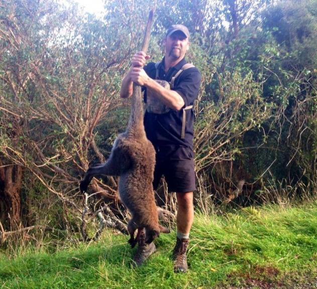 Wallaby whacking, more fun than you can poke a stick at..