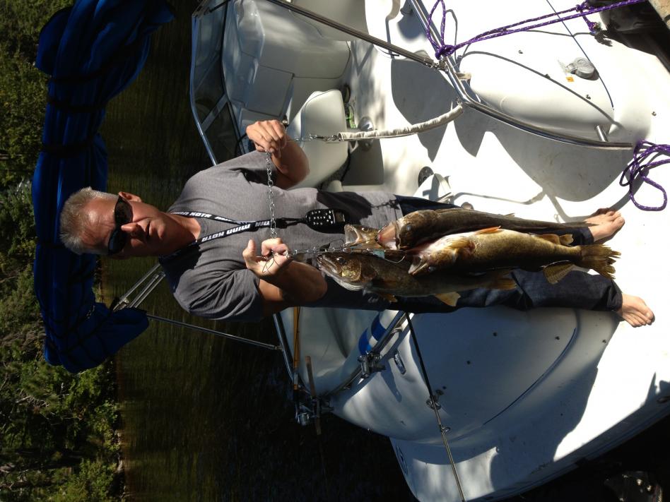 walleye