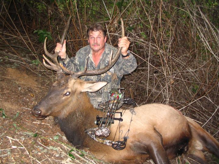 whitetail2008 203