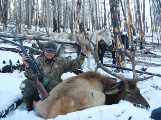 Winstons Bull