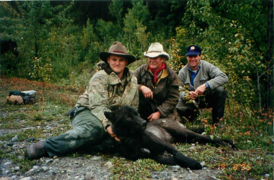 Wolf (British Columbia 1995)