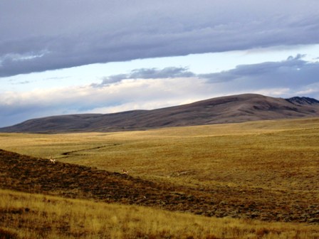 WY Landscape, beautiful!