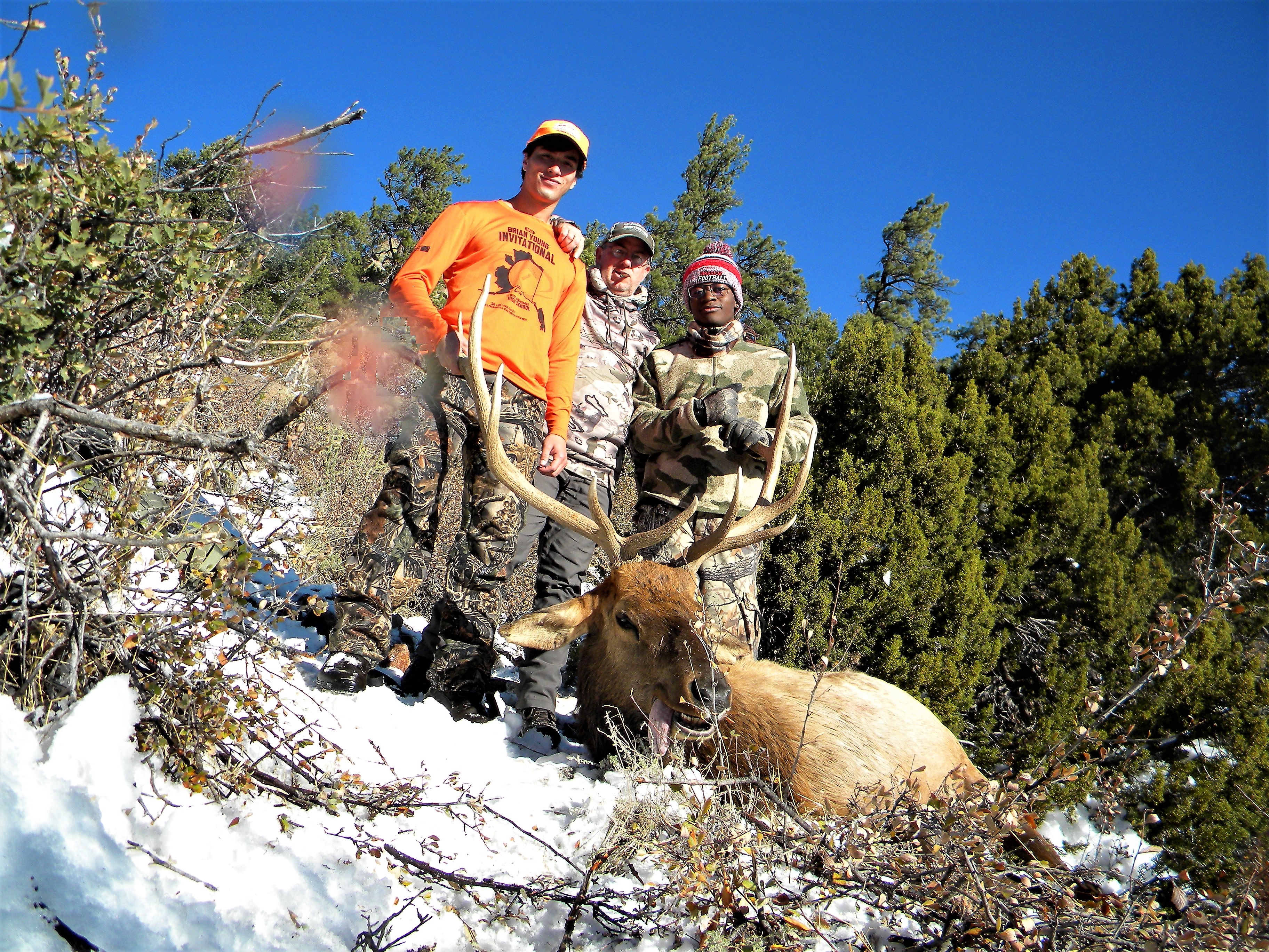 wyatt's elk 5.jpg