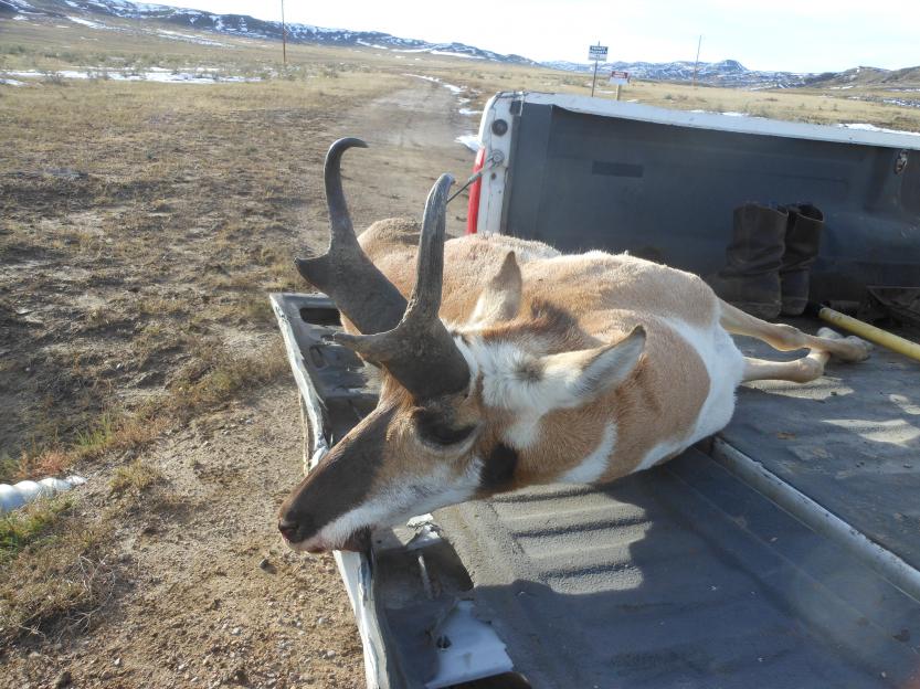 Wyoming 2013 003