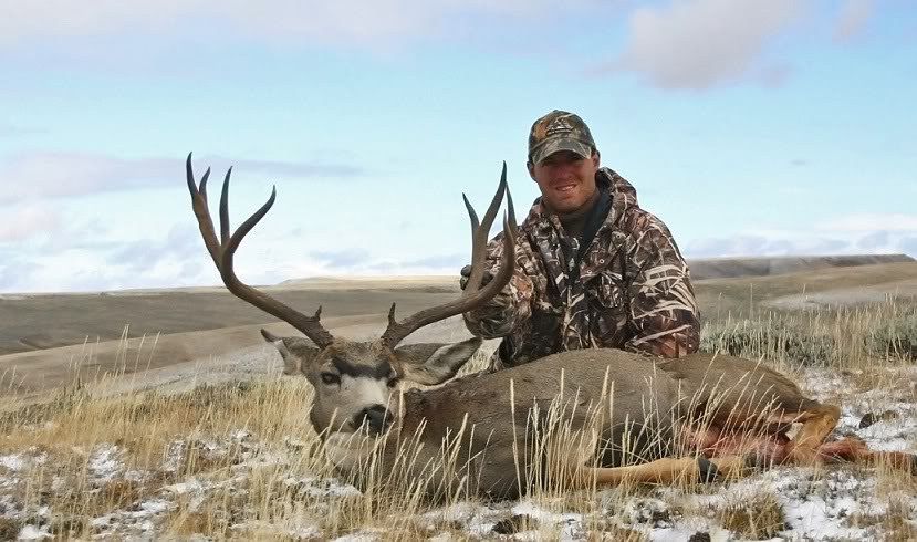 Wyoming buck