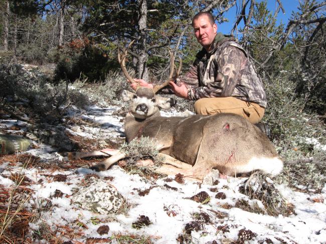 Wyoming Region Y Mule Deer
115&quot;