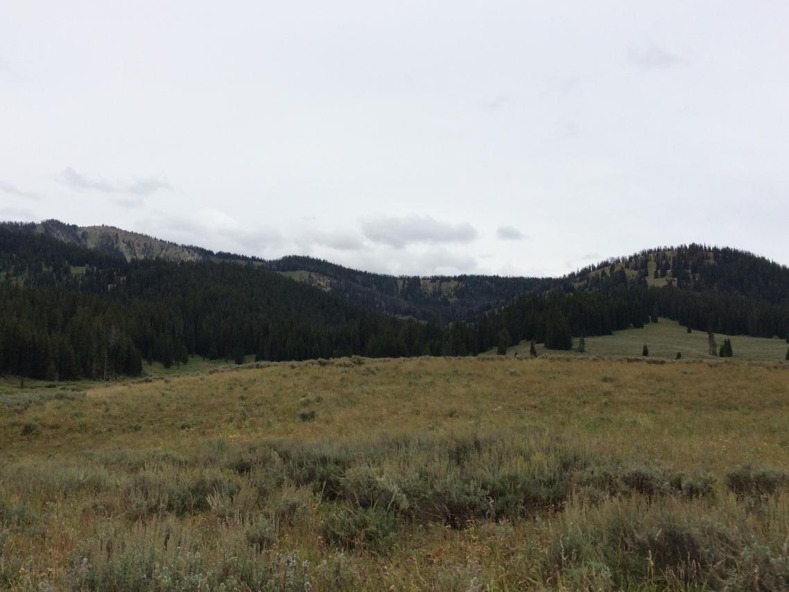 Wyoming