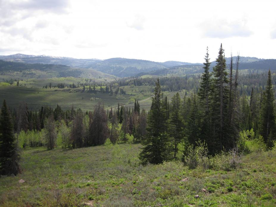Yellowstone Hills