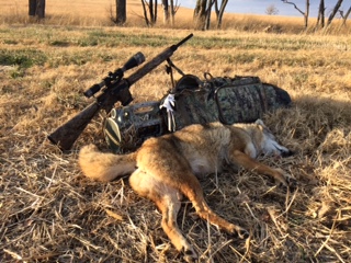 yote2 12 17 17